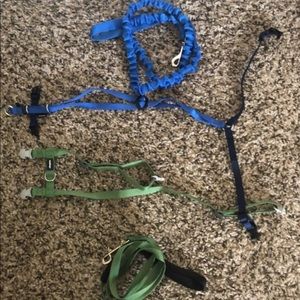 Cat Harnesses and leashes